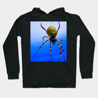 The Golden Orb Weaver Spider Hoodie